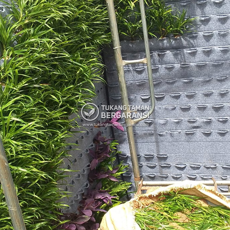 Jasa pembuatan vertical garden